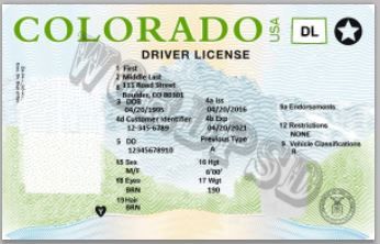Colorado Drivers License Template